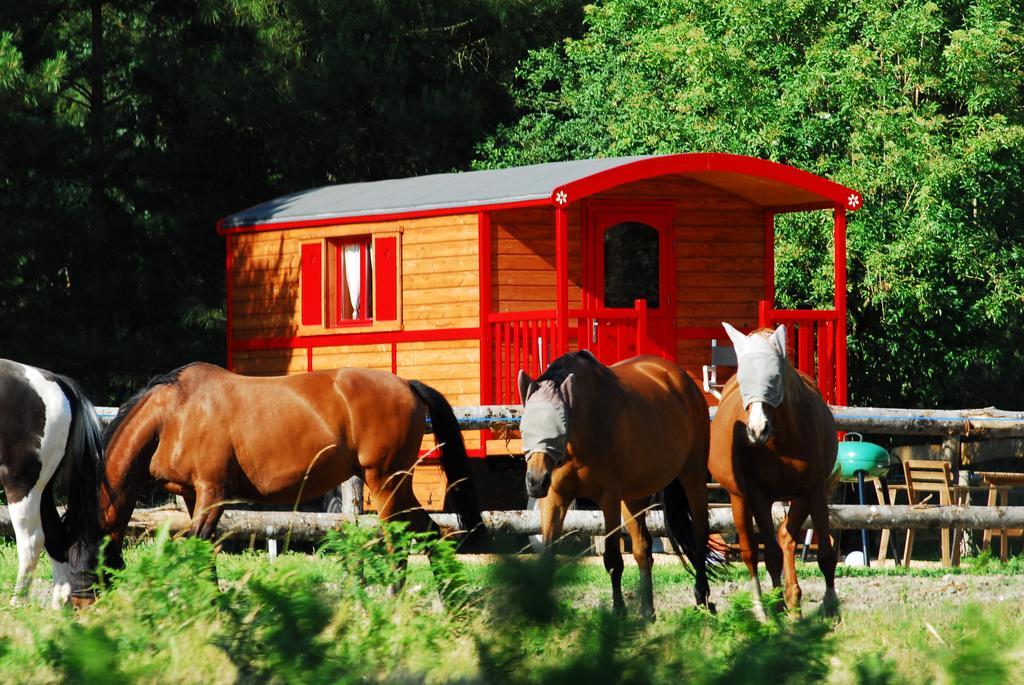 Gypsy Nature B&B Jumelles  Rum bild
